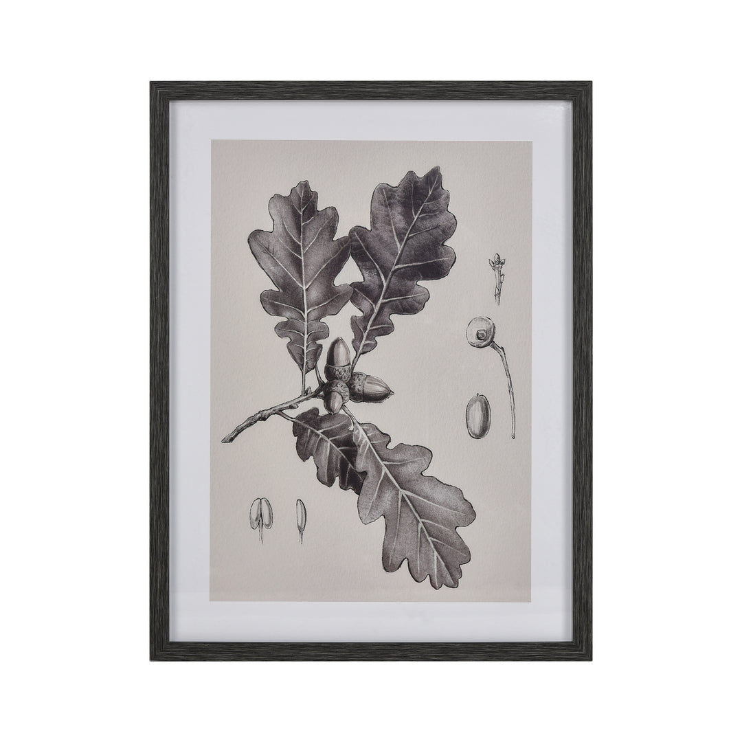 Elk Lighting S0056-10636  Oak Botanic Mirror Black
