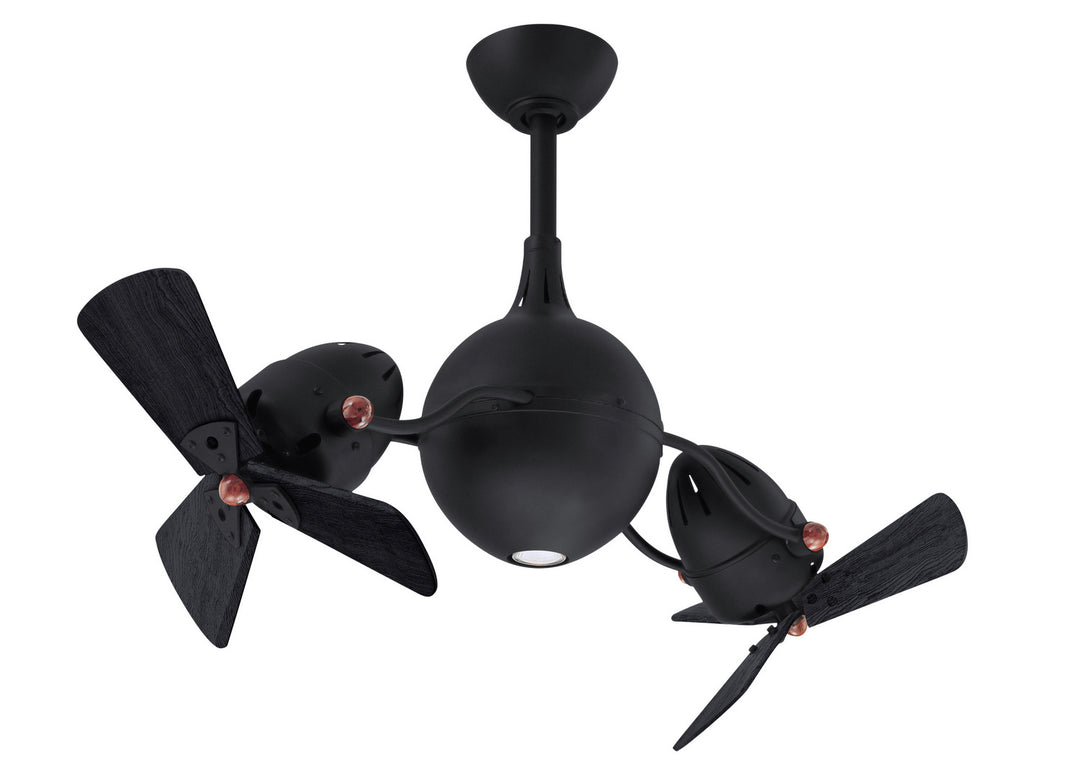 Matthews Fan Company Acqua AQ-BK-WDBK Ceiling Fan - Matte Black, Matte Black/