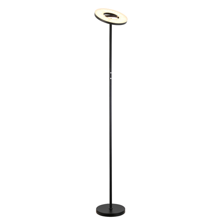 Luce Lumen Lighting LL2071  Led Floor Lamp Lamp Black