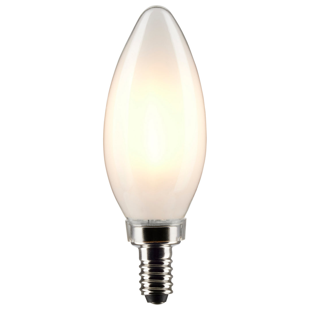 Satco Lighting S21272   Light Bulb Frost
