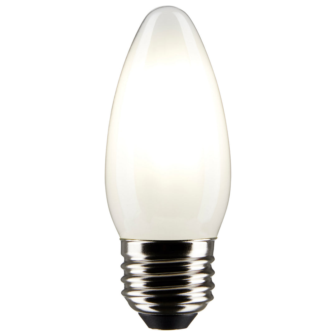 Satco Lighting S21283   Light Bulb Frost