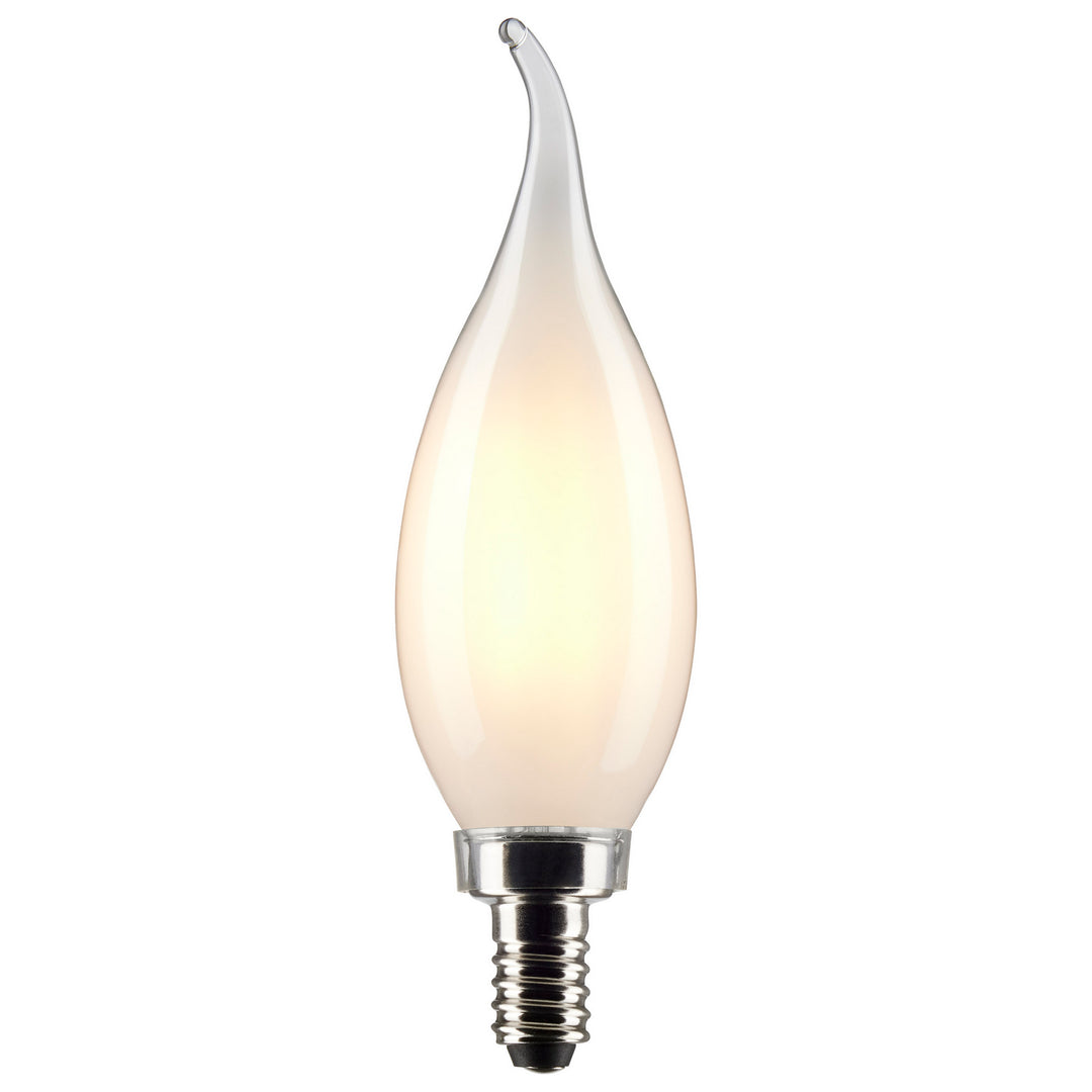 Satco Lighting S21301   Light Bulb Frost