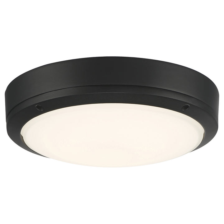 Access Rockaway 20250LEDDMG-MBL/FST Ceiling Light - Matte Black