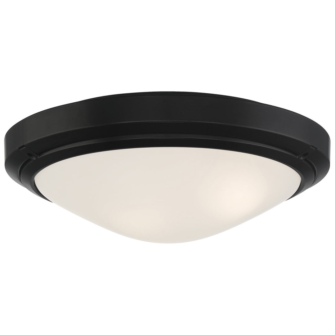 Access Oceanus 20356LEDDMGLP-MBL/FST Ceiling Light - Matte Black