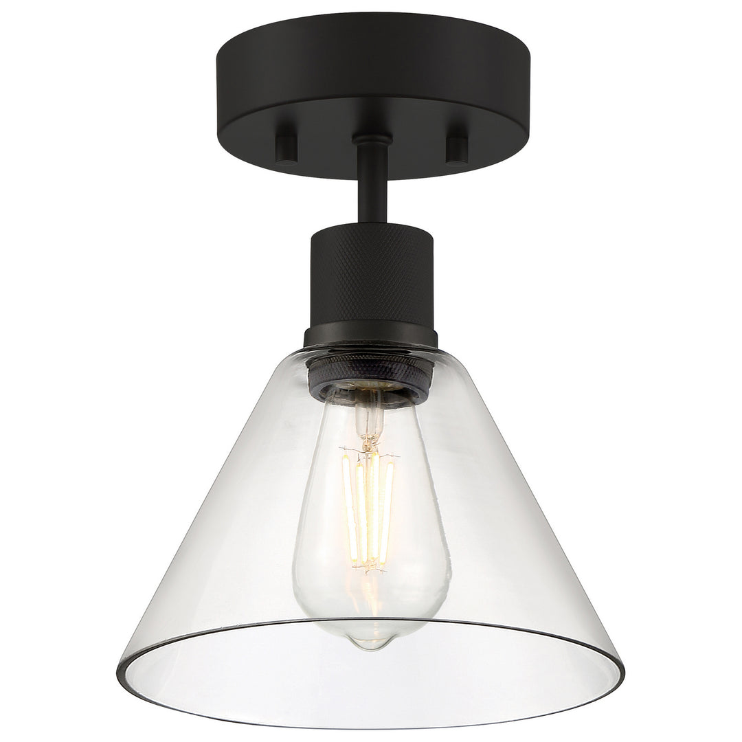 Access Port Nine Martini 63146LEDDLP-MBL/CLR Ceiling Light - Matte Black