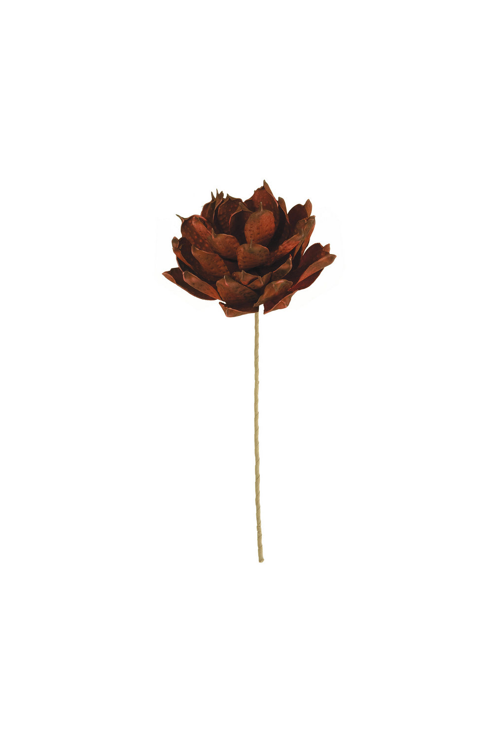 Kalalou Lighting CLX3350  Botanica Home Decor Bronze / Dark