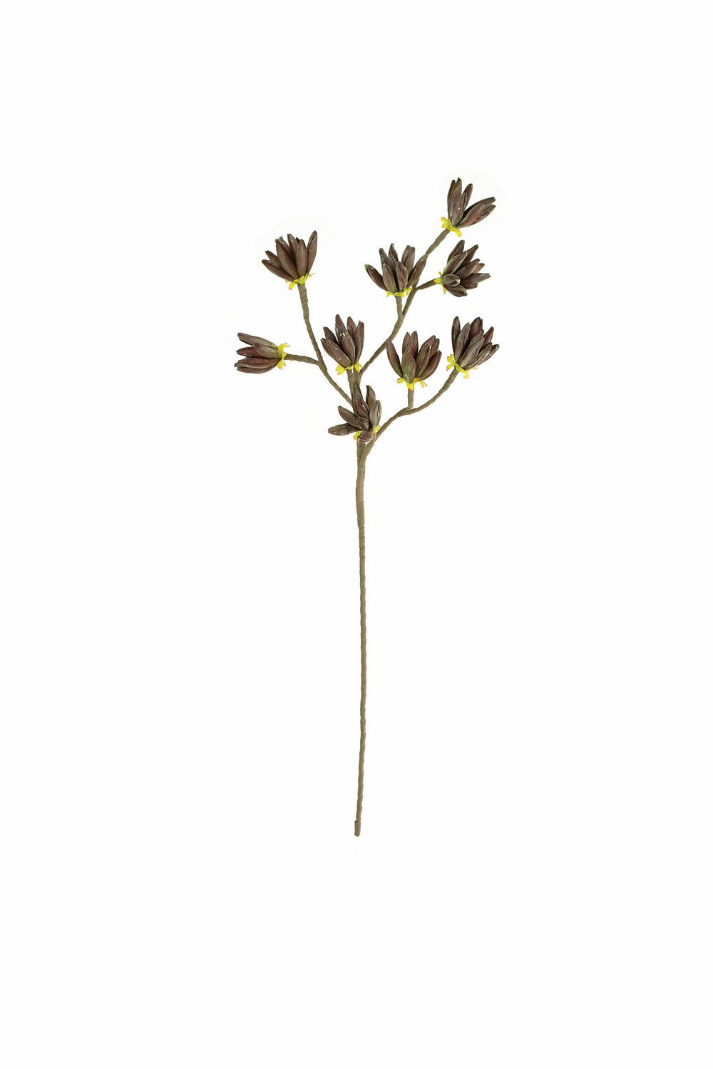 Kalalou Lighting CLX3354  Botanica Home Decor Bronze / Dark