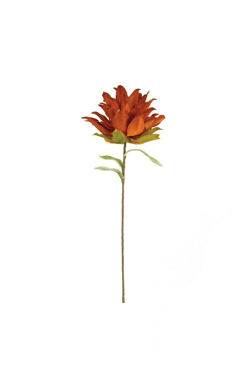 Kalalou Lighting CLX3371  Botanica Home Decor Bronze / Dark