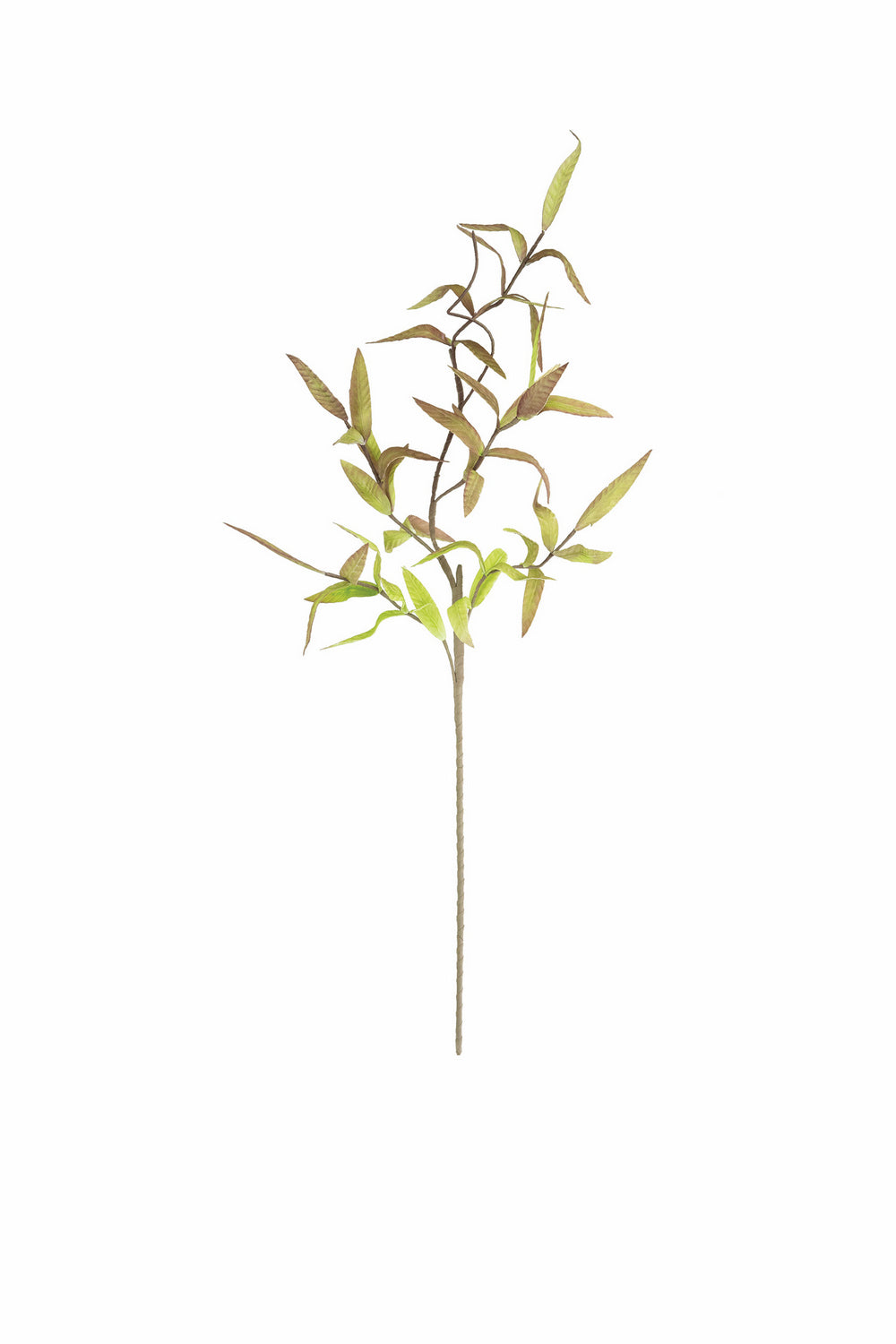 Kalalou Lighting CLX3381  Botanica Home Decor Bronze / Dark