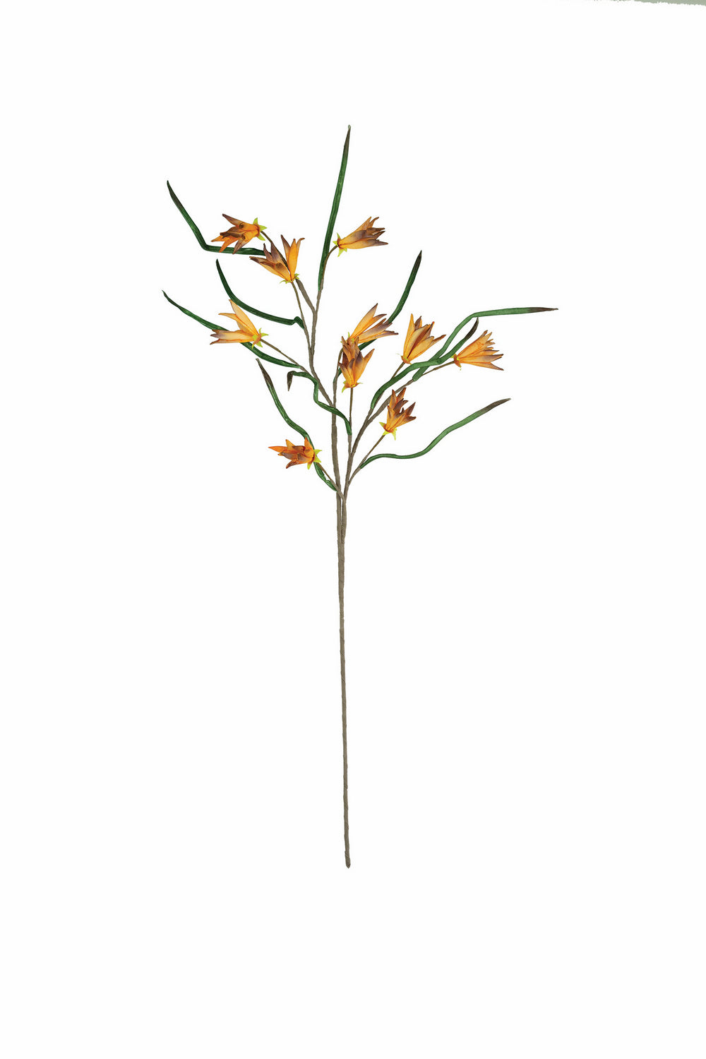 Kalalou Lighting CLX3385  Botanica Home Decor Bronze / Dark