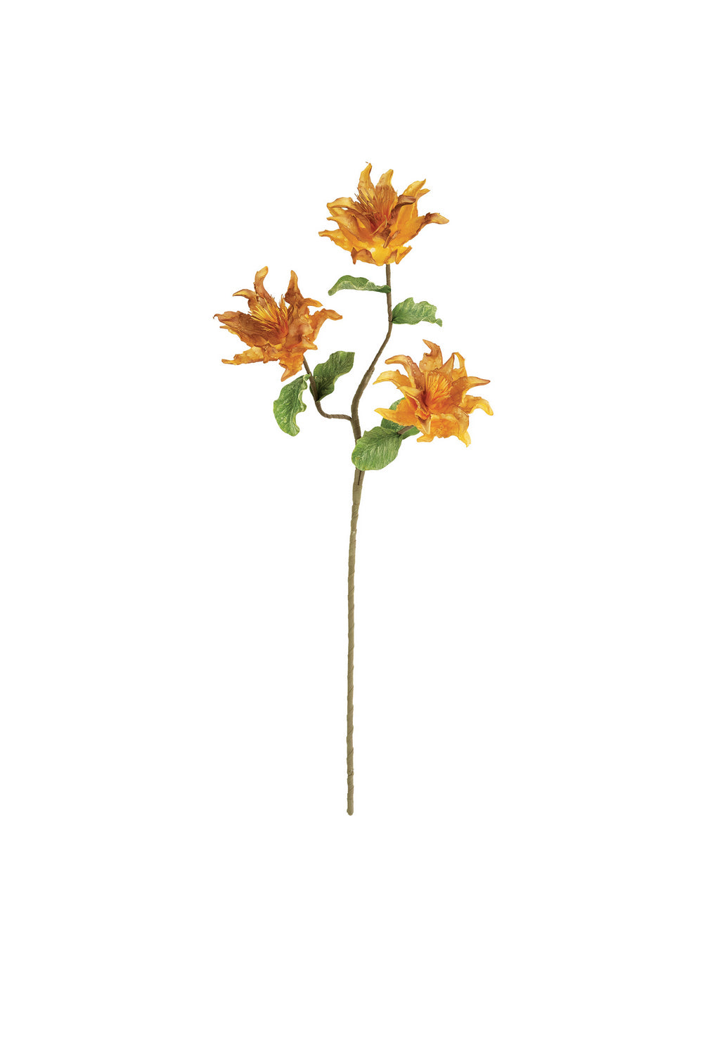 Kalalou Lighting CLX3391  Botanica Home Decor Bronze / Dark