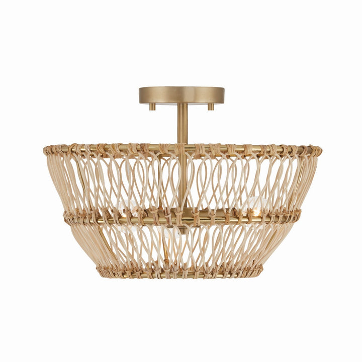 Capital Wren 244131MA Ceiling Light - Matte Brass