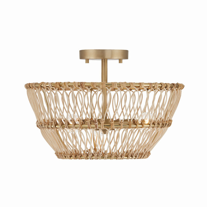 Capital Wren 244131MA Ceiling Light - Matte Brass