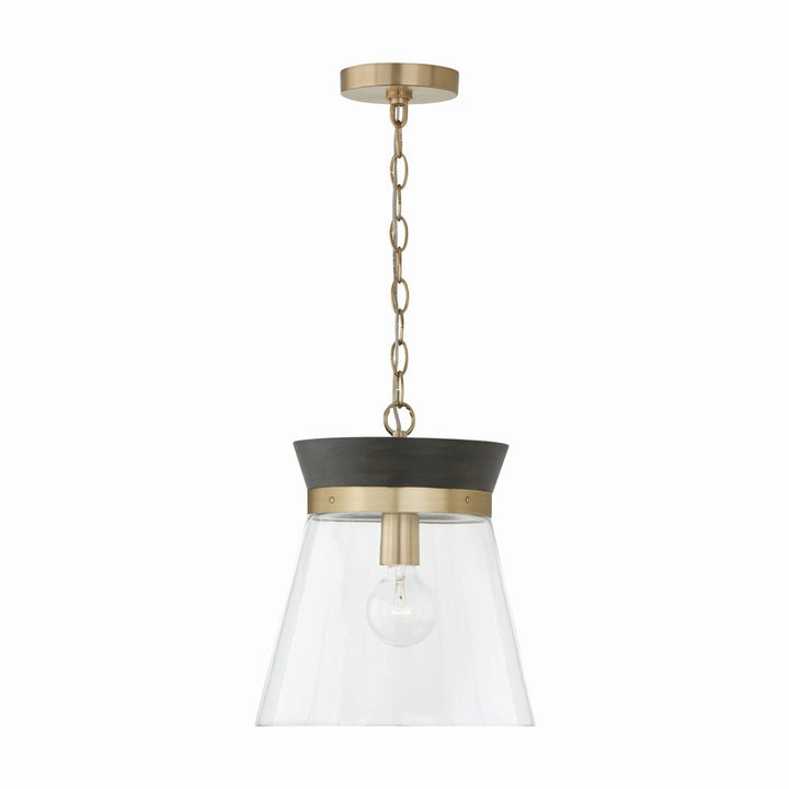 Capital Finn 347311KR Pendant Light - Black Stain and Matte Brass