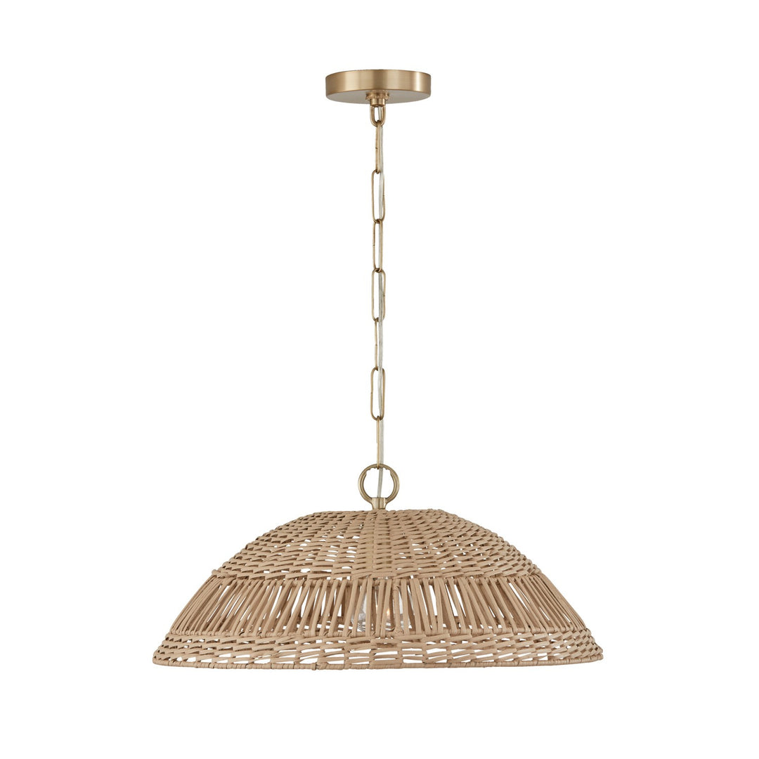 Capital Naomi 347511MA Pendant Light - Matte Brass