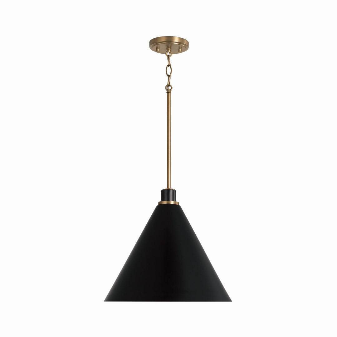 Capital Bradley 350112AB Pendant Light - Aged Brass and Black