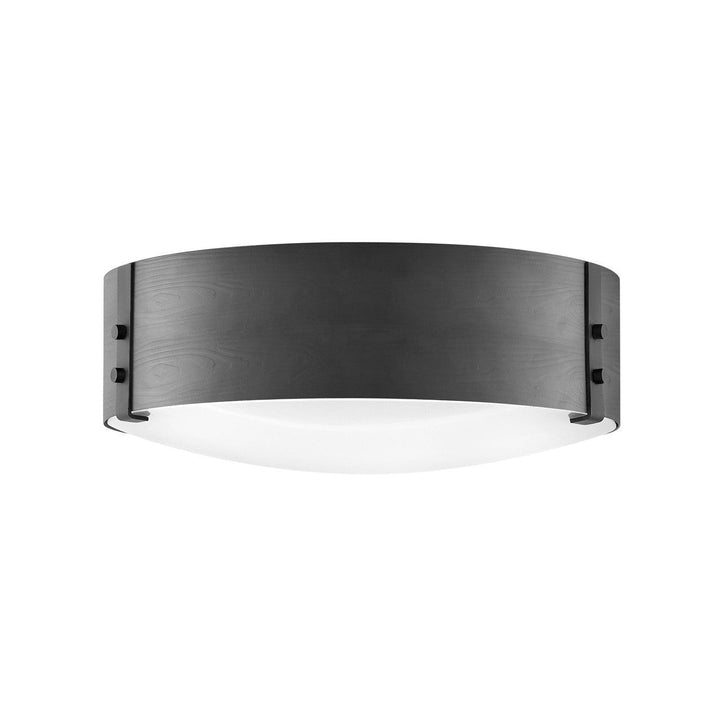 Hinkley Lighting 29203BK  Sawyer Outdoor Black