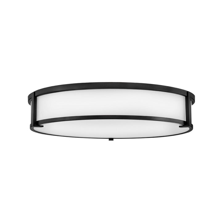 Hinkley Lowell 3244BK Ceiling Light - Black