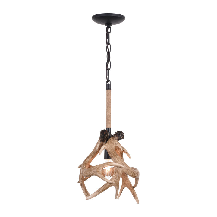 Vaxcel P0353 Pendant Light -