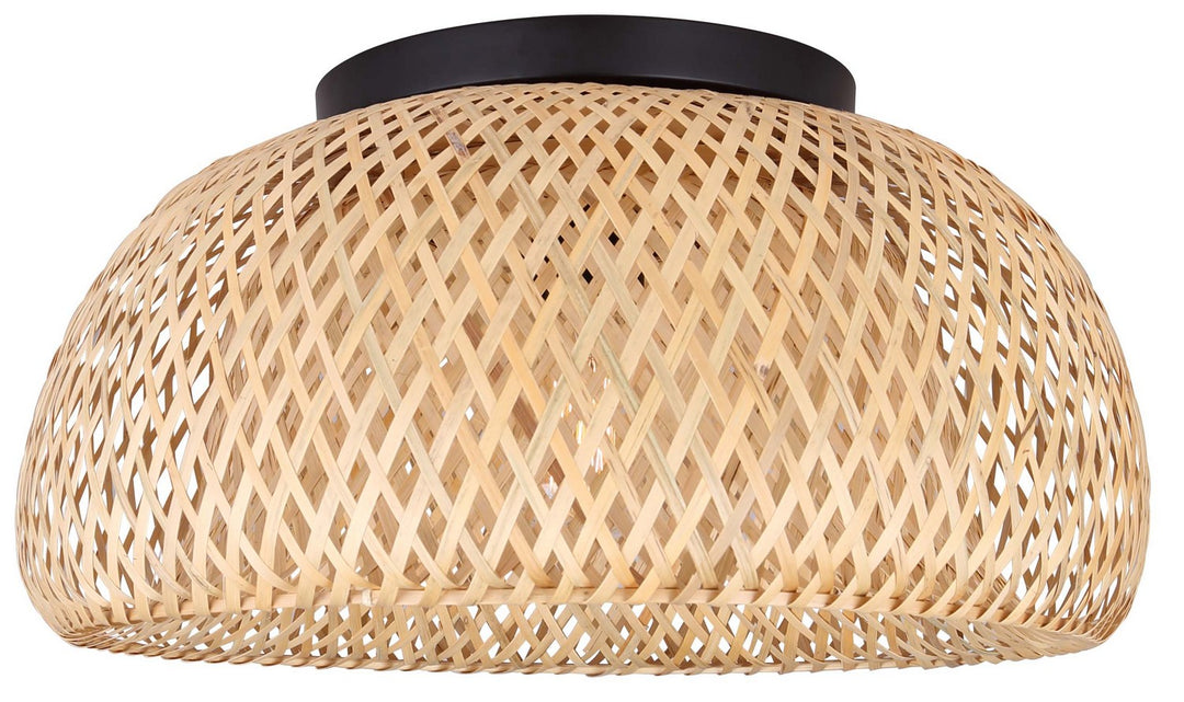Canarm Sariel IFM2025B18BK Ceiling Light - Black