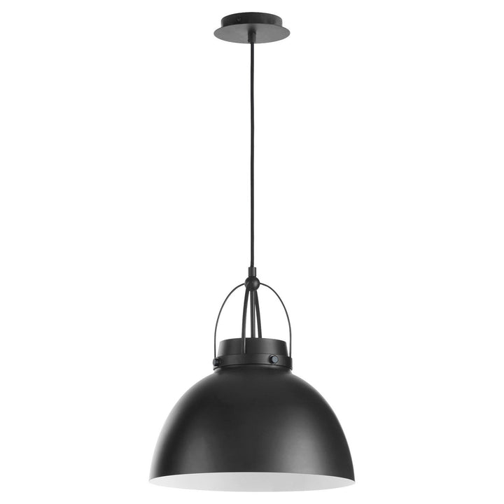 Quorum Picture Lights 823-59 Pendant Light - Matte Black