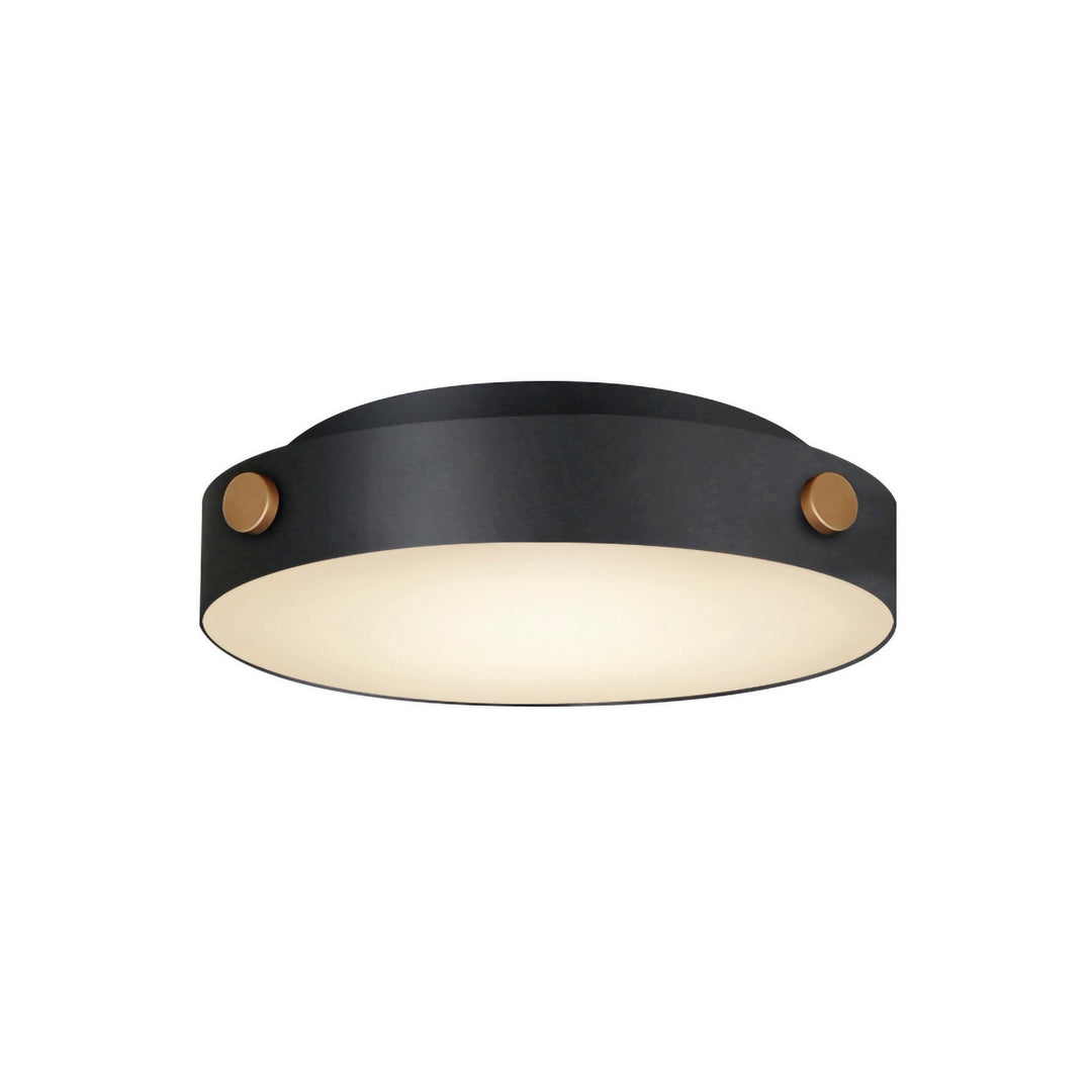 Maxim Rivet 42129BKAB Ceiling Light - Black / Antique Brass