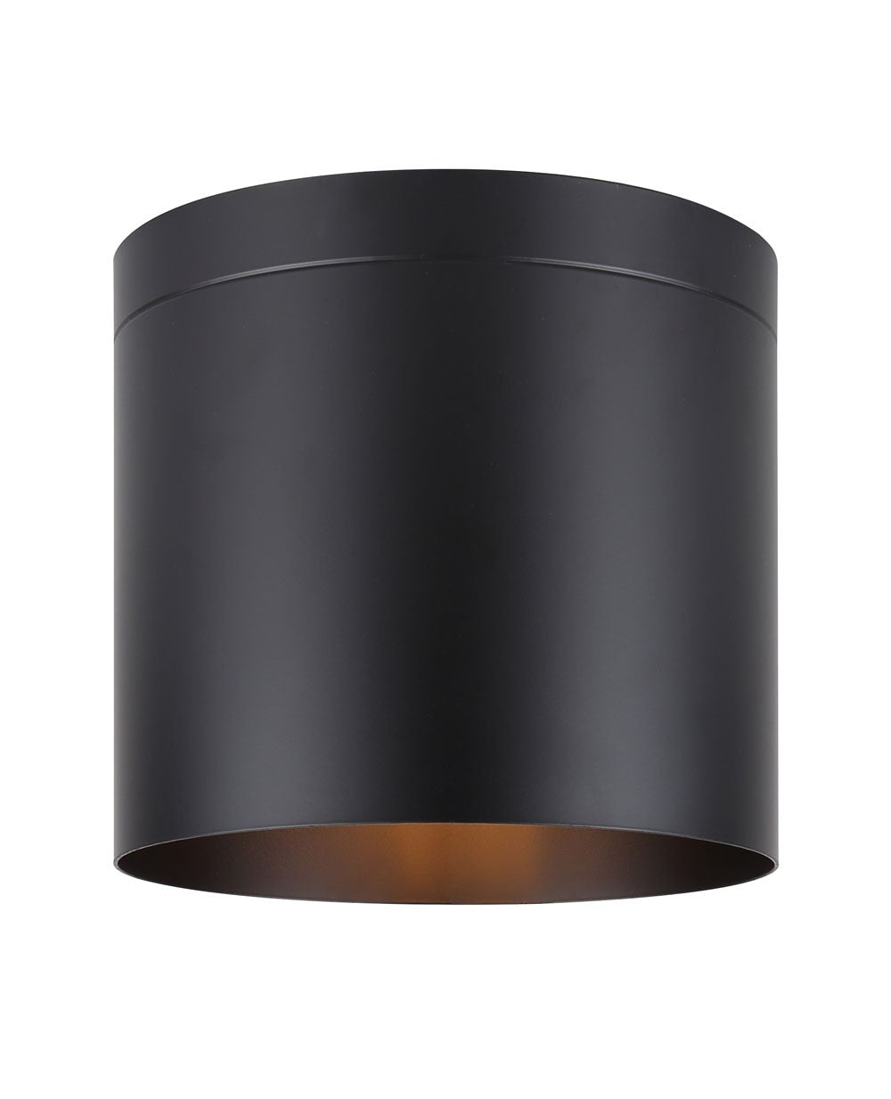 Canarm Agna IFM1071A08BK Ceiling Light - Matte Black