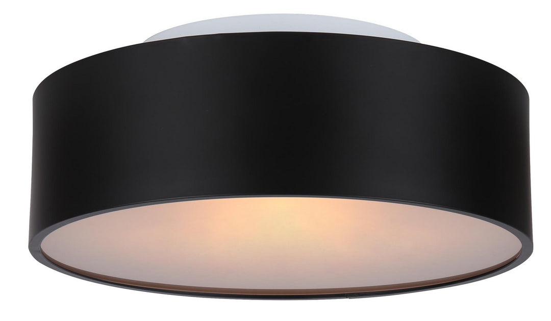 Canarm Dexter IFM318A13BK Ceiling Light - Matte Black