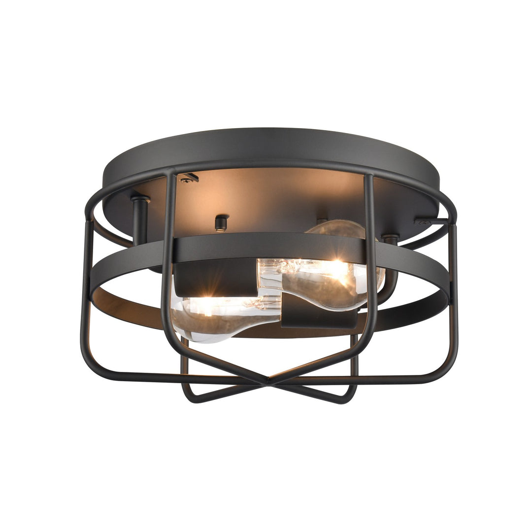 Elk Gael EC89674/2 Ceiling Light - Matte Black