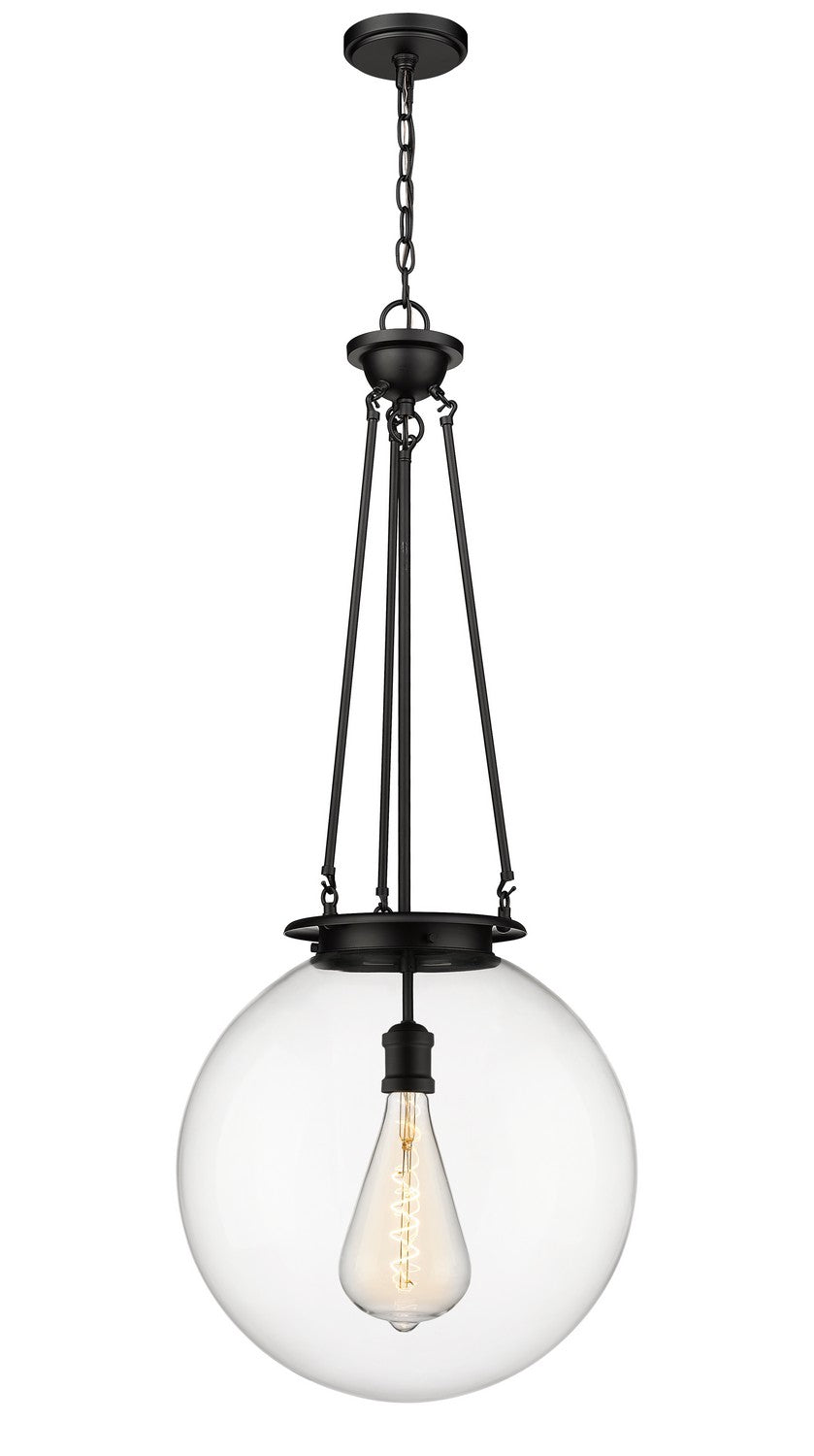 Innovations Essex 221-1P-BK-G202-18 Pendant Light - Matte Black