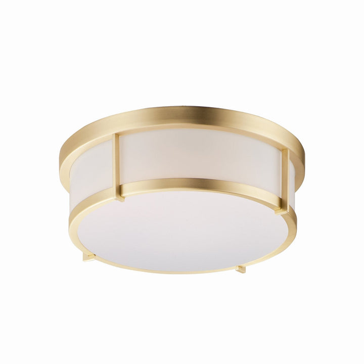 Maxim Rogue LED 10273WTSBR Ceiling Light - Satin Brass