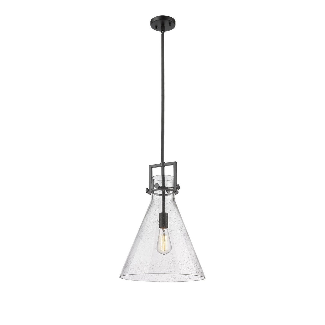 Innovations Newton 411-1SL-BK-G411-14SDY Pendant Light - Matte Black