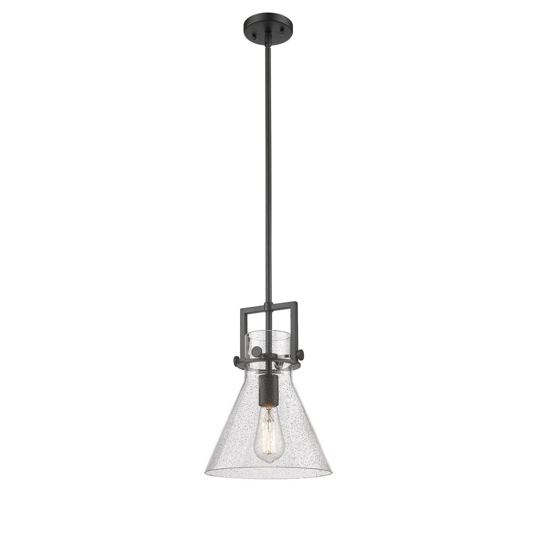 Innovations Newton 411-1SM-BK-G411-10SDY Pendant Light - Matte Black