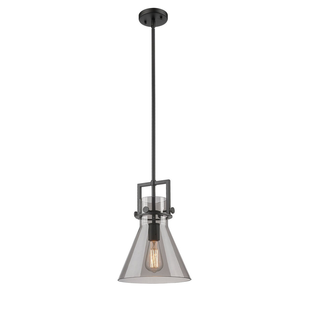 Innovations Newton 411-1SM-BK-G411-10SM Pendant Light - Matte Black