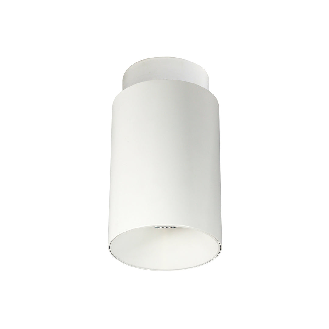 Nora  NYLM-5SCCDXWWLE4 Ceiling Light - White