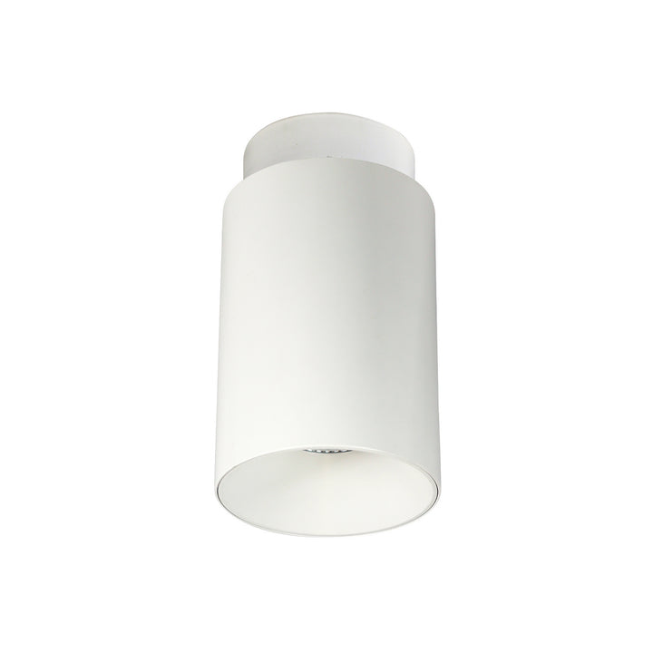 Nora  NYLM-5SCCDXWWLE4 Ceiling Light - White