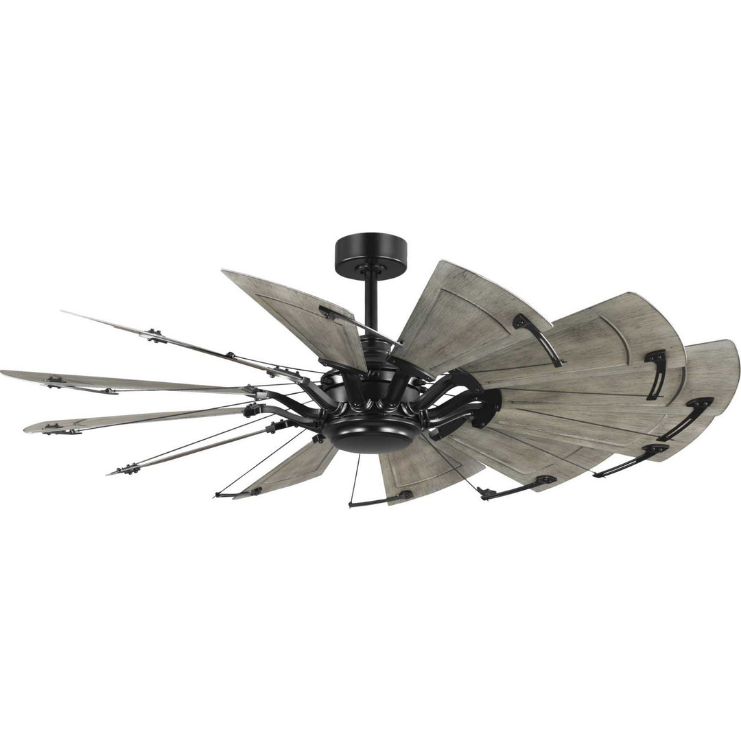 Progress Springer Ii P250098-31M Ceiling Fan - Matte Black