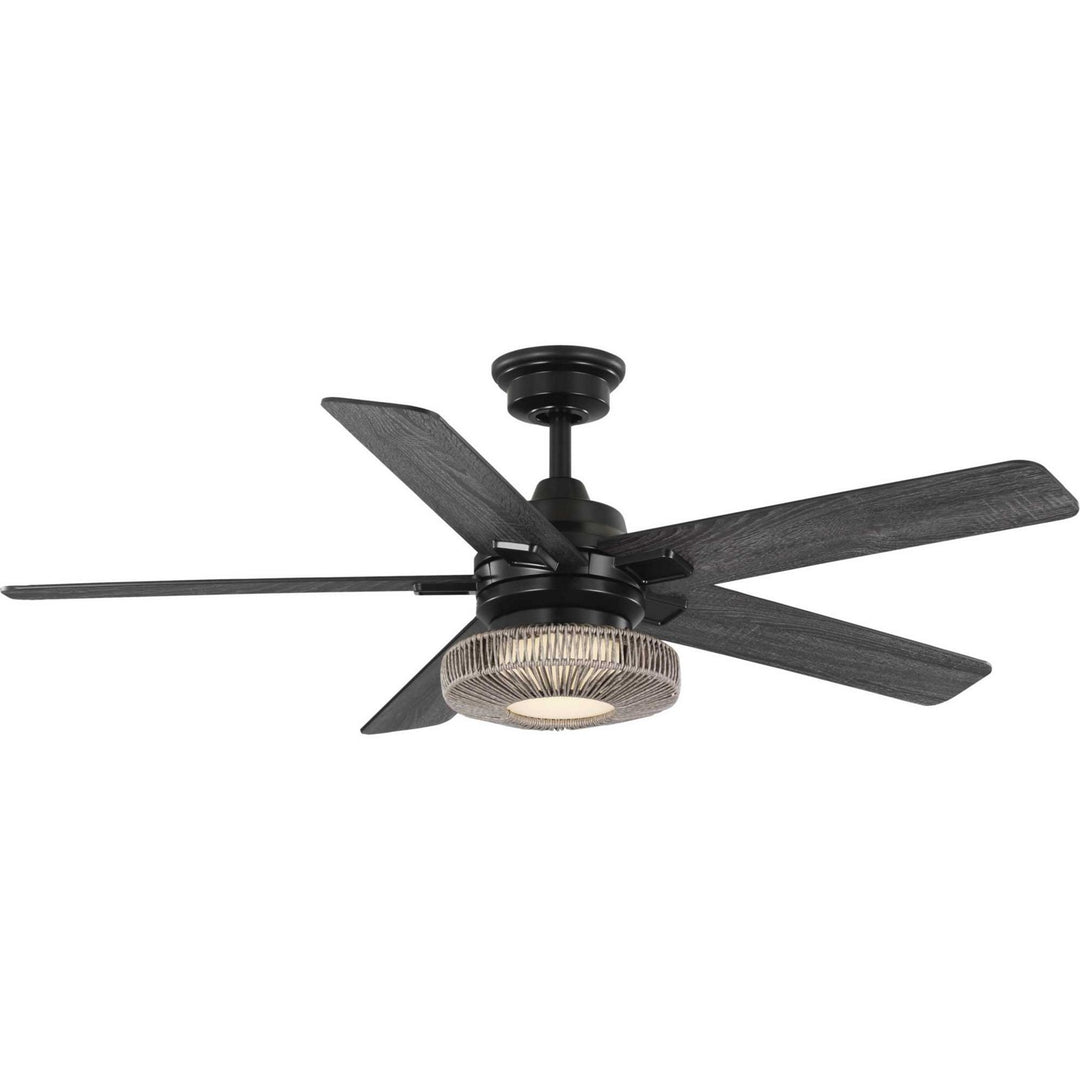 Progress Schaal P250101-31M-30 Ceiling Fan - Matte Black