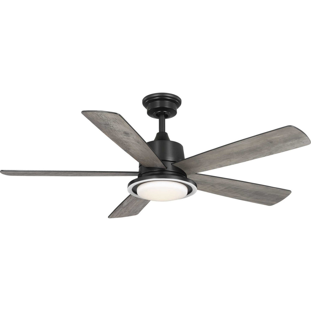 Progress Tarsus P250102-31M-CS Ceiling Fan - Matte Black