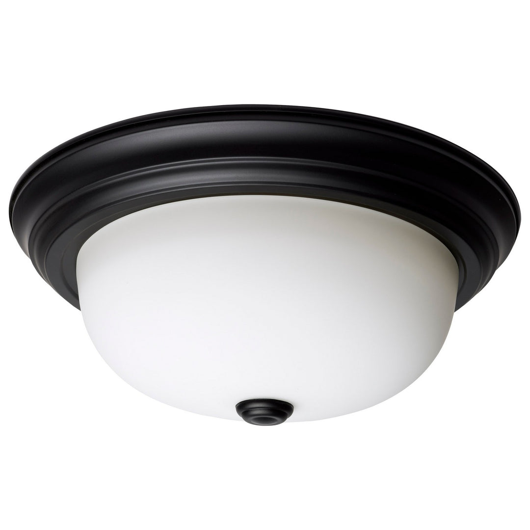 Nuvo 60-128 Ceiling Light - Matte Black