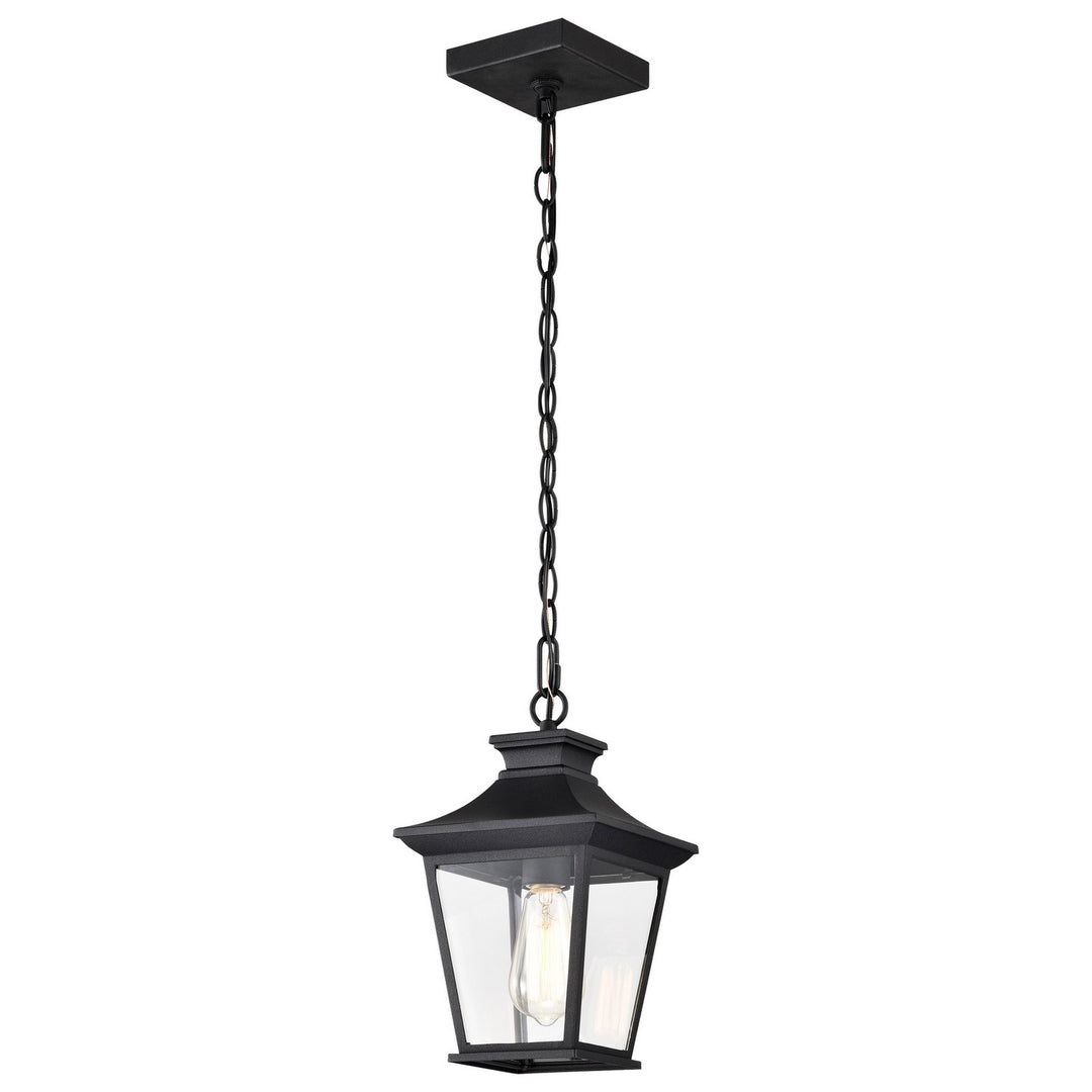 Nuvo Lighting 60-5746 Jasper One Light Outdoor Hanging Lantern Outdoor Black