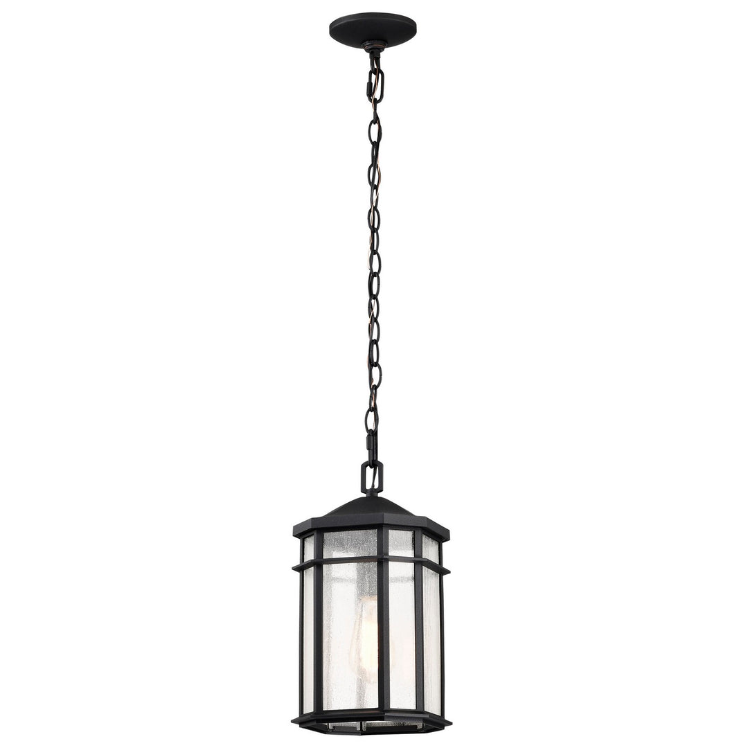 Nuvo Lighting 60-5759 Raiden One Light Outdoor Hanging Lantern Outdoor Black