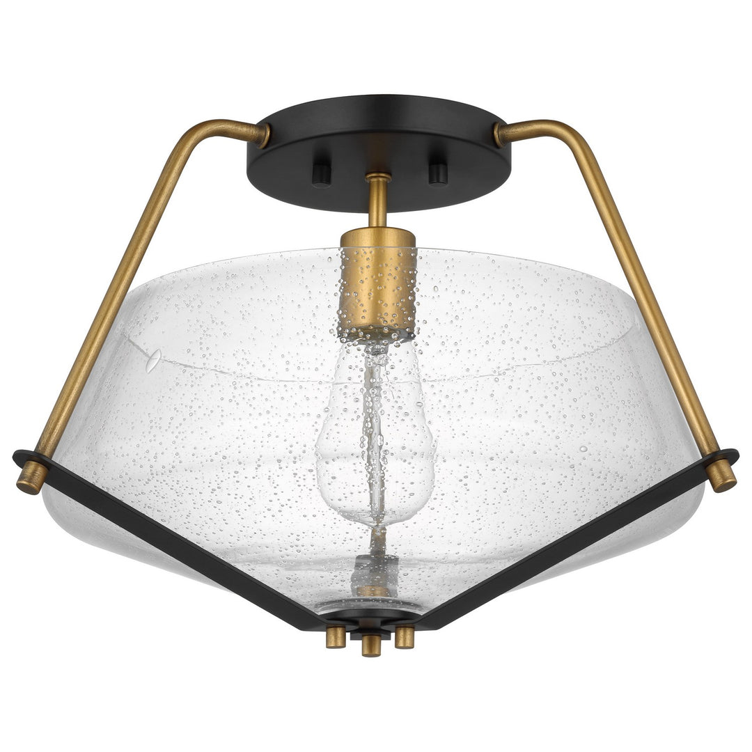 Nuvo Starlight 60-7683 Ceiling Light - Matte Black/Natural Brass