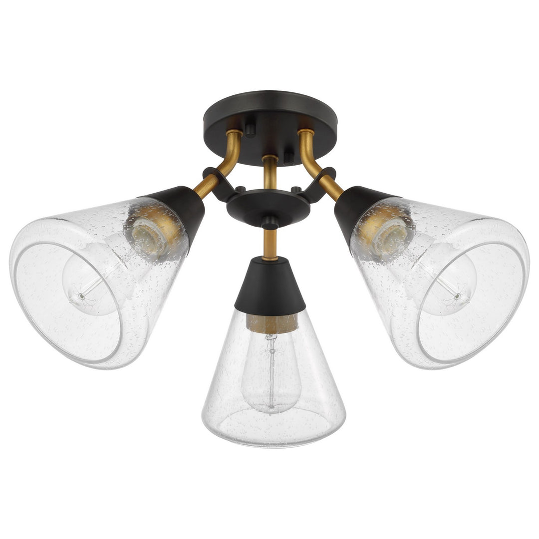 Nuvo Starlight 60-7684 Ceiling Light - Matte Black/Natural Brass