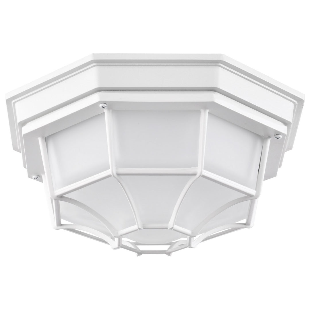 Nuvo Lighting 62-1399  Led Spider Cage Fixture Outdoor White