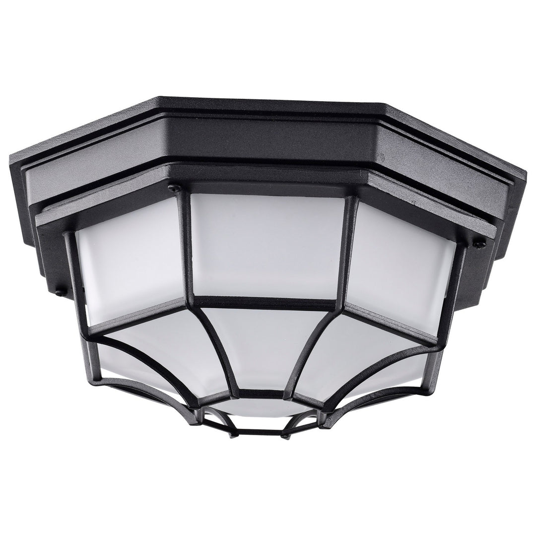 Nuvo Lighting 62-1400  Led Spider Cage Fixture Outdoor Black