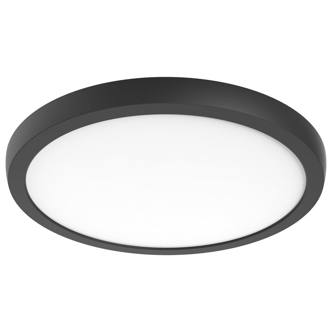 Nuvo 62-1787 Ceiling Light - Black