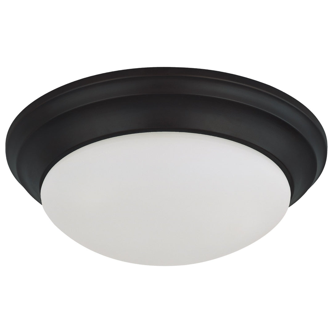 Nuvo 62-687 Ceiling Light - Matte Black