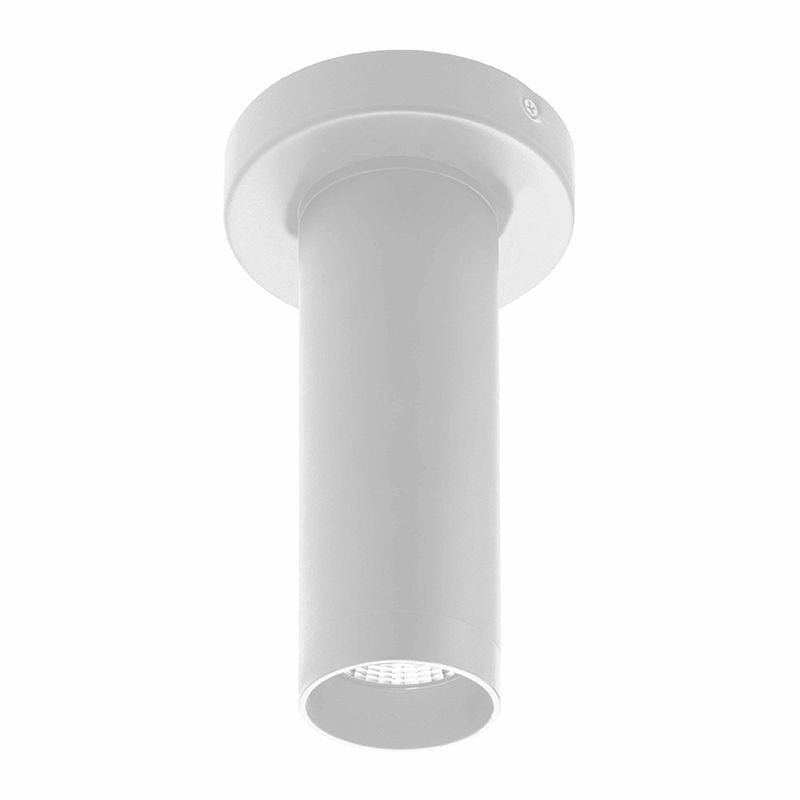 Westgate Lighting CMC2-MCT-DT-WH  Ceiling Mount Outdoor White