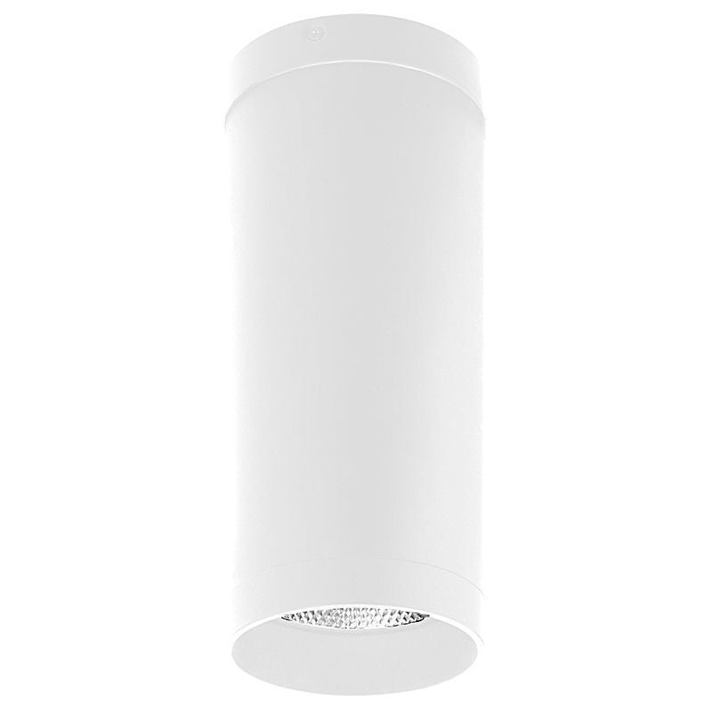 Westgate Lighting CMC4-MCTP-DD-WH  Ceiling Mount Outdoor White